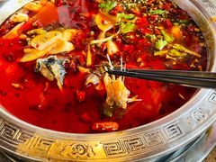 特色红锅-贡椒鱼老店·雅安十大名店