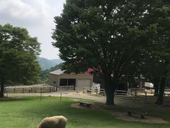 -神户市立六甲山牧场