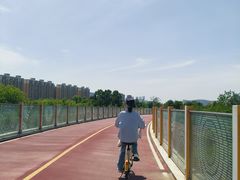 -白鹭湾湿地公园