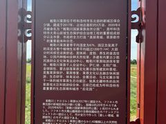 -敕勒川草原