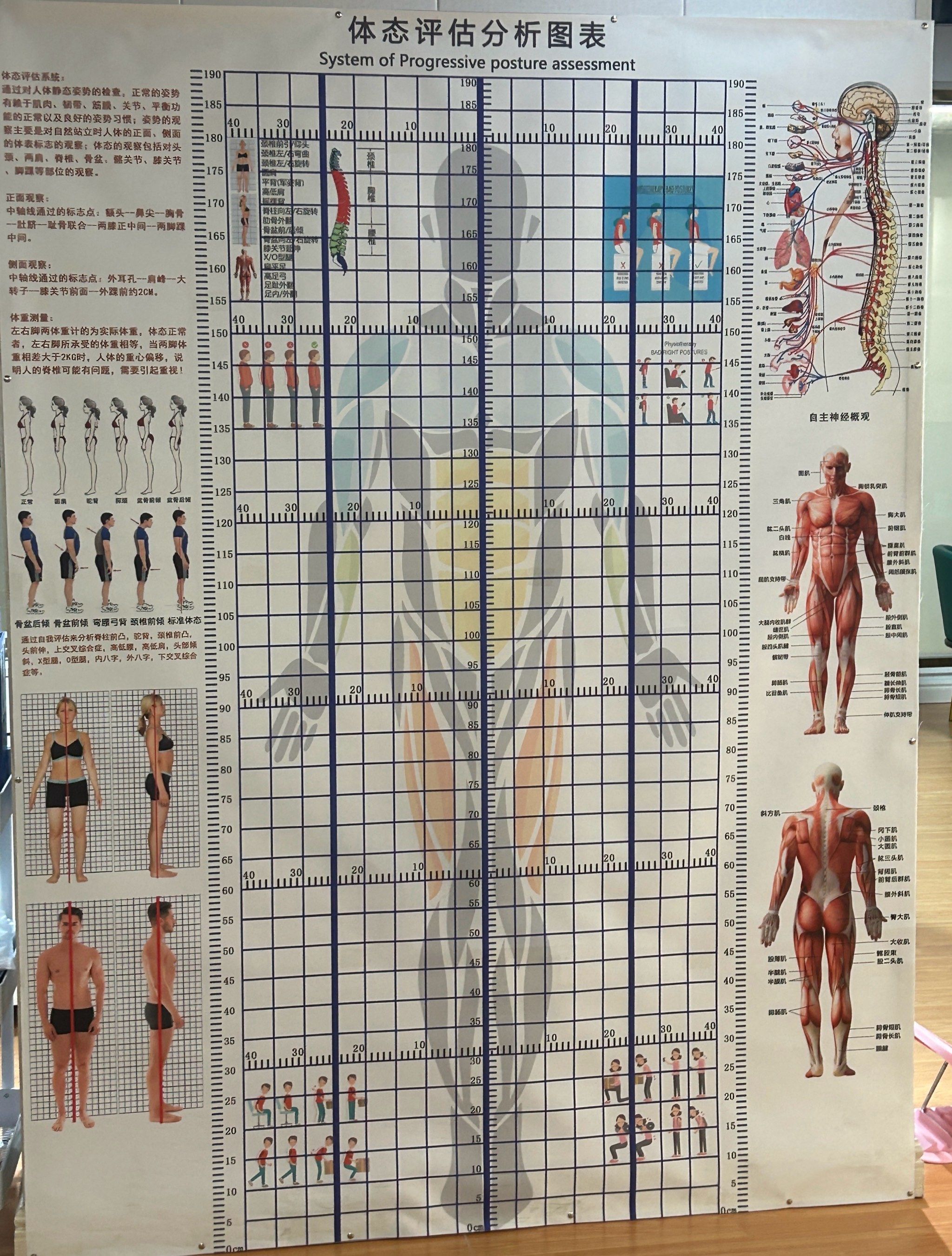 🫣体态评估分析破了个大防!