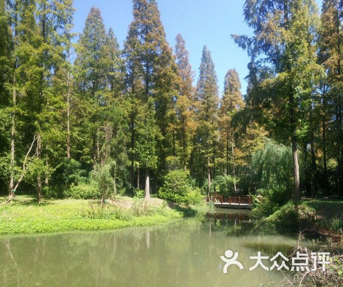 東平國家森林公園景點圖片 - 第5張