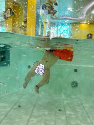 -鱼乐贝贝婴幼儿亲子水育(幸福街店)