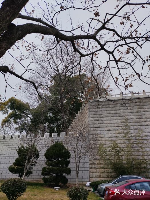 放鹰台遗址图片