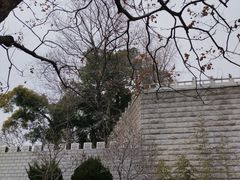-放鹰台遗址