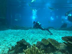 -福州罗源湾海洋世界旅游区