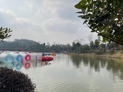 -枫香湖儿童公园