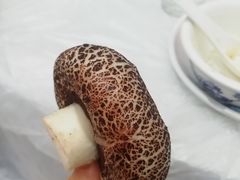 -百万葵园