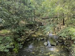 -大奇山国家森林公园