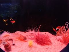 -欢乐海岸海洋奇梦馆