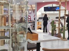 -喵园·猫主题咖啡厅·撸猫·猫咖(国贸店)