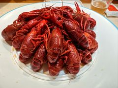 -杨氏青龙虾·羊蝎子(珠江路店)