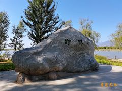 -野鸭湖国家湿地公园