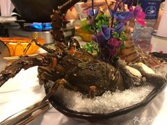 -鲜入围煮花胶鸡海鲜火锅