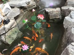 -森谷美食公园(杨行店)