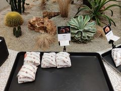 -OUR Bakery(SKP-S店)