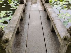 -上海醉白池公园
