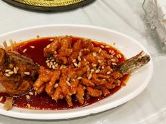 -金蝉食府(维吉奥广场店)