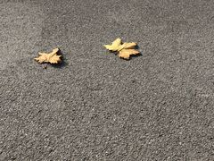 -同济大学(嘉定校区)