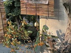 -杭州植物园