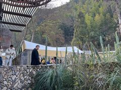 -MOJ coffee(瓯海泽雅水碓坑店)