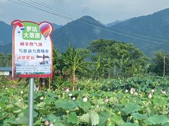 -罗坑大草原