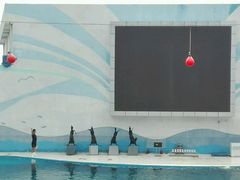 -北戴河圣蓝海洋公园