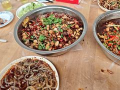 -食神又名厕所兔