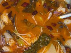 -滇铺子·云南特色菜·第九届野生菌美食节(东风东路c86店)