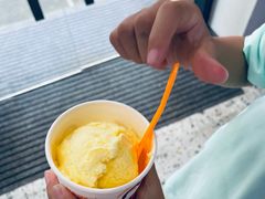 -iceason爱茜茜里·意大利健康冰淇淋(骑龙巷店)