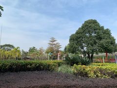 -荔湾区儿童公园