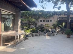 -富春茶社(国庆路店)