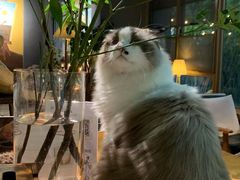 -咖法森林·咖啡  酒吧(天河店)