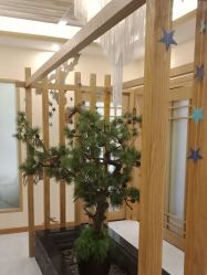 点击看大图 -芳朵美容养生SPA