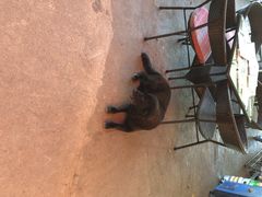 iphone_upload_pic-南丫岛