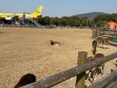 -苏州太湖西山岛开心农场