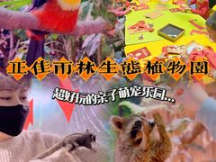 -正佳雨林生态植物园