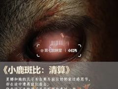 -CGV影城(壹方城IMAX店)