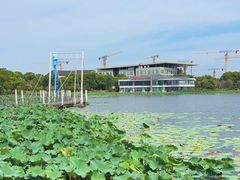 -海天湖公园