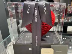 -ROSEONLY诺誓(国际广场购物中心店)