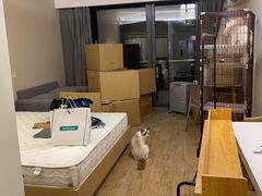 -上海跃迁搬场公司 日式搬家