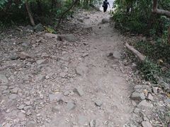 -大蜀山国家森林公园