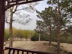 -马家湾湿地公园