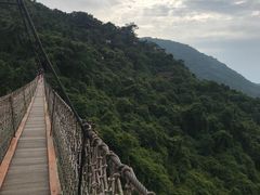 -亚龙湾热带天堂森林公园