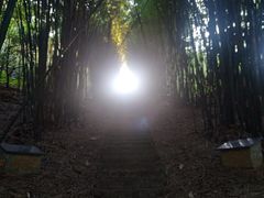 -潜山国家森林公园