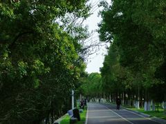 -艾溪湖湿地公园