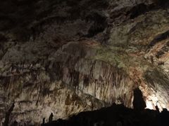 -波斯托伊纳溶洞