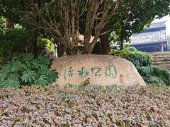 -活水公园