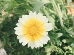 -协和菜馆(凤凰街店)