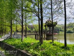 -宜兴龙背山森林公园